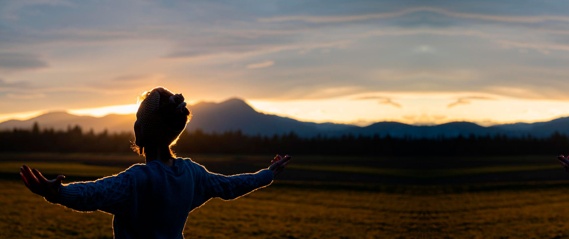 resurgir a través del perdón
